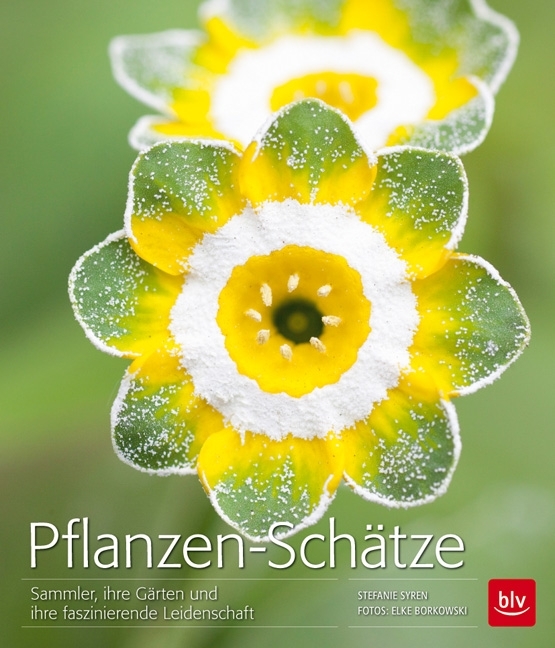 Pflanzen-Schätze, BLV-Verlag
