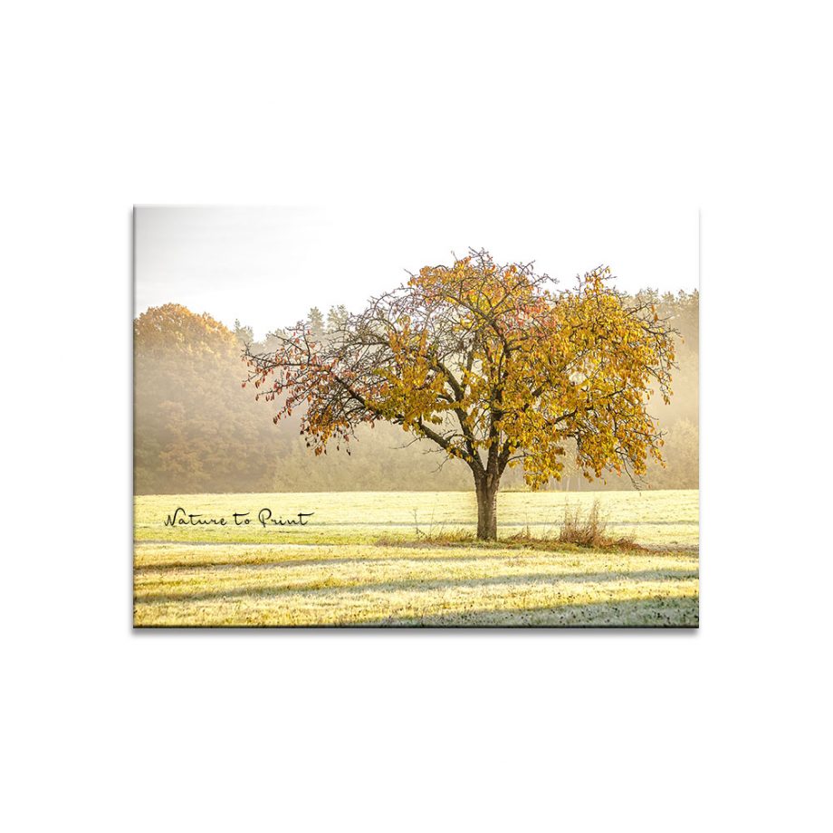 Romantisches Leinwandbild Kirschbaum im Herbstnebel