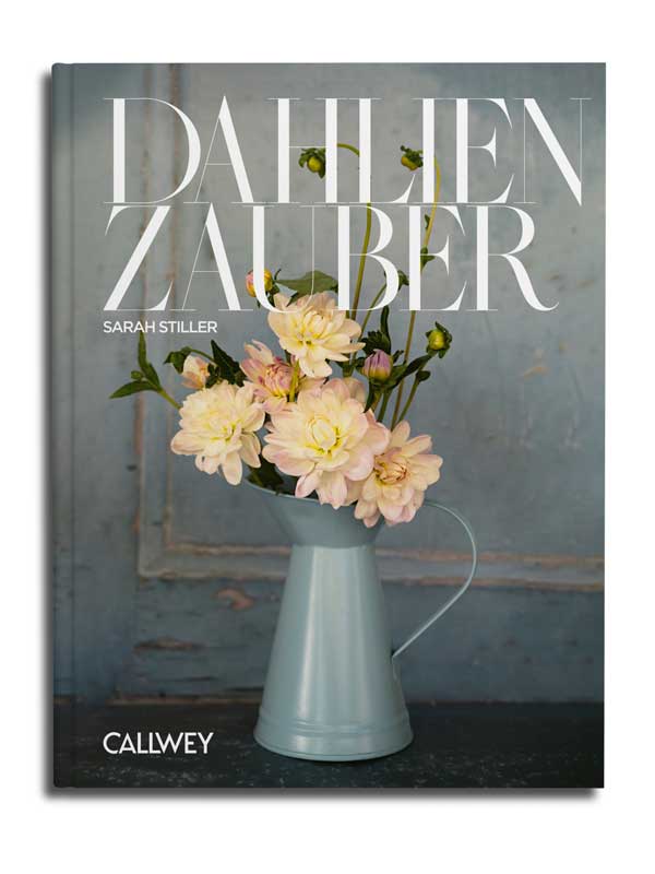Dahlienzauber. Sarah Stiller, Calley Verlag
